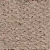 Beige fabric texture sample with granular surface, matte finish, and subtle tonal variations; imprinted with “swan > fabric (elite) > elite 305”.